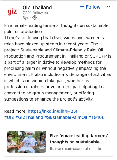 GIZ sustainable palm oil